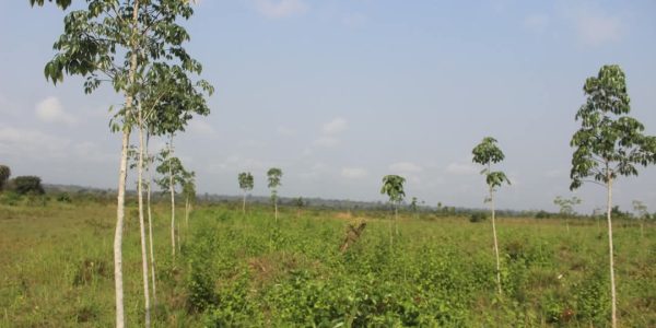 WhatsApp Image 2025-01-29 at 14.21.49