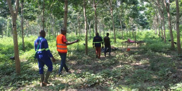 WhatsApp Image 2025-01-29 at 14.21.50